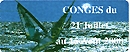 5527.jpg